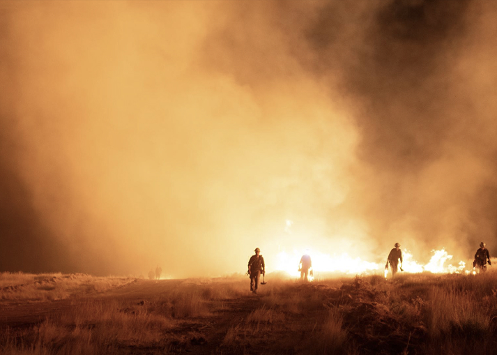 2025 Wildfire Season: Record Breaking Human, Economic, and Systemic Impacts