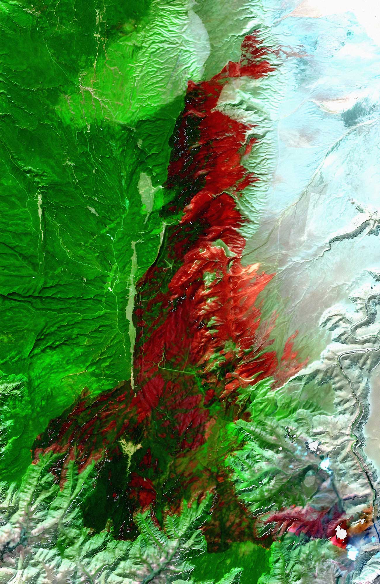 A false color composite showing burn scars (red). Image by Inciweb,